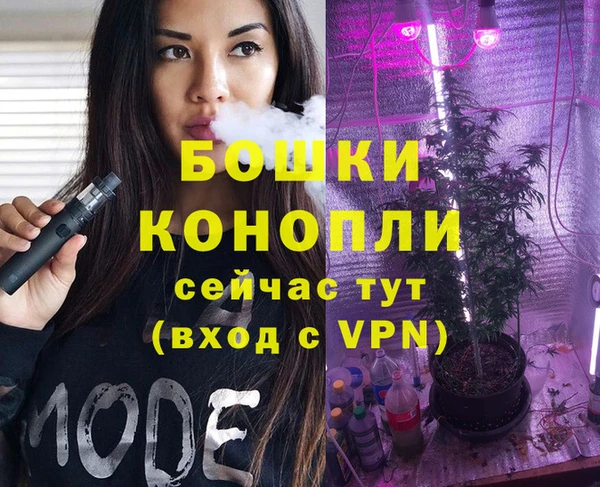 дживик Россошь