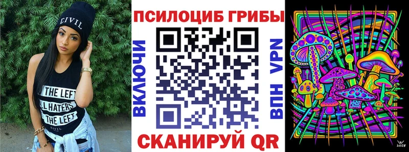 мега ссылка  Иланский  Псилоцибиновые грибы Cubensis 