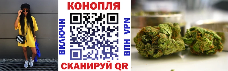 Бошки Шишки семена  Иланский 